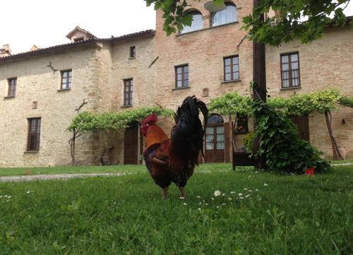 Altri animali domestici presso l'hotel o nei dintorni