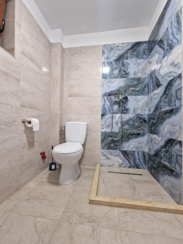 a bathroom with a toilet and a painting on the wall at SunScape Corbu in Corbu