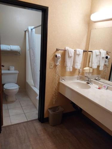 a bathroom with a sink and a toilet and a mirror at Lavissh inn and Suites in Bellingham