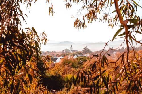 a view of a city from behind a tree at Stone House McGregor in McGregor