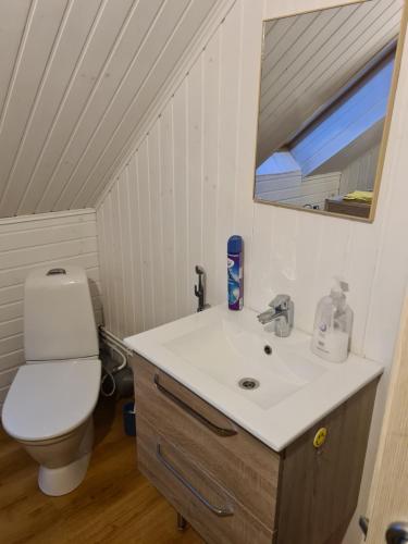 La salle de bains est pourvue d'un lavabo et de toilettes. dans l'établissement Rähni Guesthouse Lake Peipsi, à Vilusi