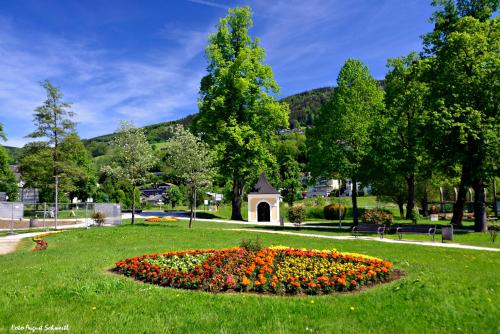 a park with a circle of flowers in the grass at Haus Bachinger in Mondsee