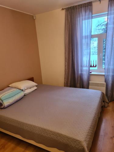 a bedroom with a bed and a window at Rähni Guesthouse Lake Peipsi in Vilusi