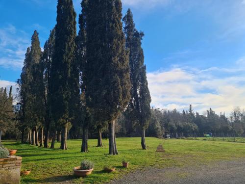 Gallery image of Agriturismo IL Paradiso di Berignone in Caprareccia