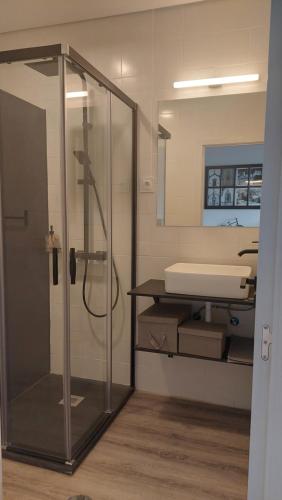 a bathroom with a shower and a white sink at Maia Apartment in Maia