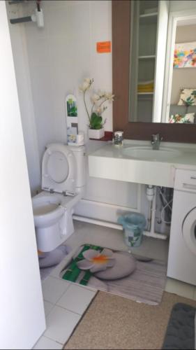 a bathroom with a toilet and a sink and a mirror at L hibiscus in Saint-François