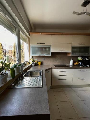 Foto Papa's place 4