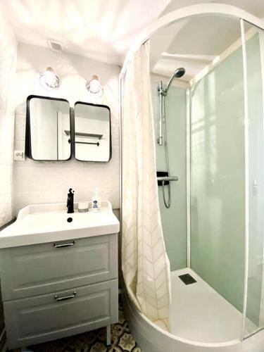 une salle de bain avec un lavabo et une douche dans l'établissement Coquet F3 pour 4 pers 2 chambres proche centre-ville et gare, à Vichy