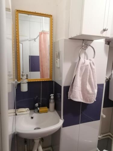 a bathroom with a sink and a mirror at STD Verice Đorđević in Kalna