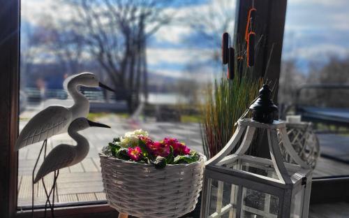 two birds sitting on a window sill next to a basket of flowers at Palatinus Apartman Esztergom in Esztergom