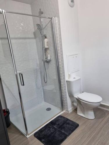 une salle de bain avec douche et toilettes dans l'établissement Appartement cosy et équipé, à Meaux
