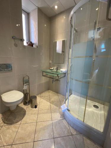 a bathroom with a shower and a toilet at Ostan Hôtel Boutique in Roquebillière