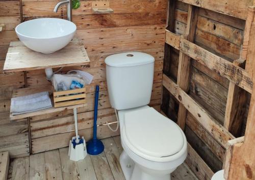 ein Bad mit einem WC und einem Waschbecken in der Unterkunft Chinauta_Eco_Glamping in Fusagasuga