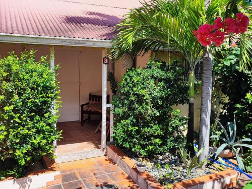 um alpendre de uma casa com plantas e uma palmeira em Appartement entier: chambre, cuisine + terrasse au calme sur jardin. em Marigot