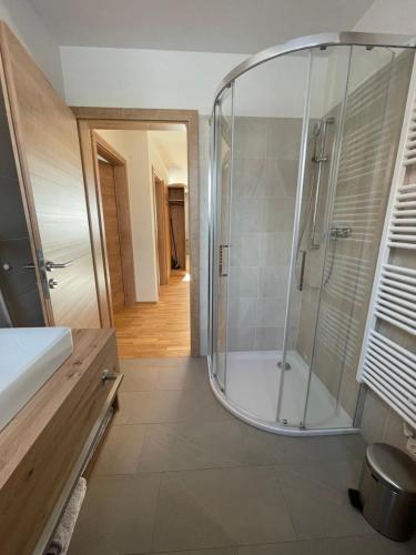 a bathroom with a shower with a glass door at Bauernhofhotel "die Unterbergerin" - Zimmer mit Frühstück und Ferienwohnungen in Gastein mit GRATIS Thermeneintritt in Dorfgastein
