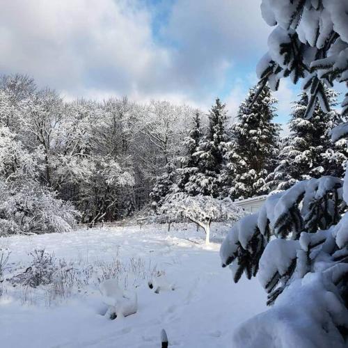 The Enchanted Cottage – Photos 3