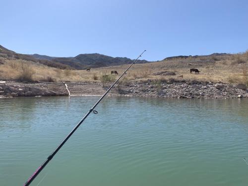a fishing rod in the water on a river at Amazing Views near Grand Canyon Skywalk in Meadview