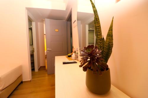 a vase with a plant on a counter in a room at Fegi Rooms in Himare