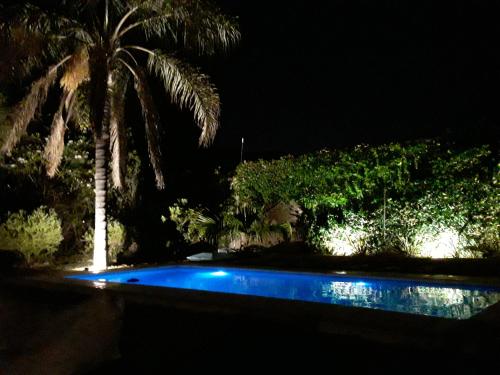 una piscina por la noche con una palmera en Casa en Córdoba Zona Norte en Córdoba