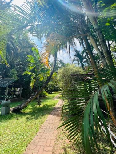 a pathway with palm trees in a park at Krishan Villa in Negombo