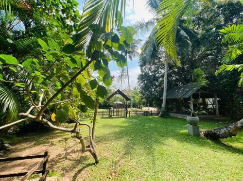 a yard with a park with a tree and a swing at Krishan Villa in Negombo