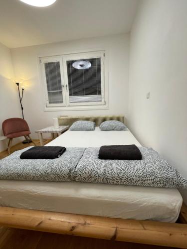 ein Schlafzimmer mit einem Bett in einem Zimmer mit einem Fenster in der Unterkunft Nice rooftop hostel in Wien