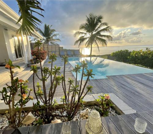a backyard with a swimming pool and palm trees at Villa Estheria in Sainte-Anne