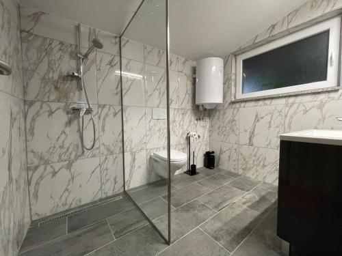 La salle de bains est pourvue d'une douche en verre et de toilettes. dans l'établissement Green Oasis Garden, à Šenčur