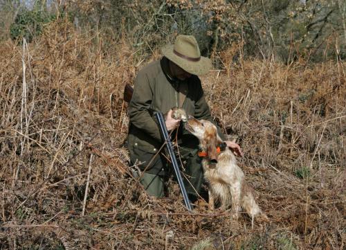 Ospiti di Residenza D'epoca Il Biribino con animali domestici