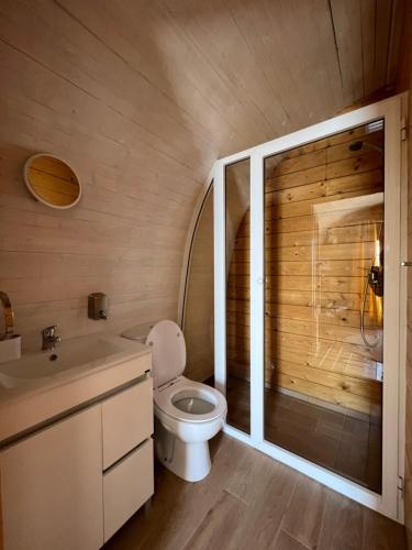 ein Bad mit einem WC und einem Waschbecken in der Unterkunft RM Green Hotel 