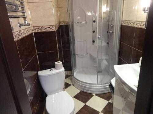 a bathroom with a shower and a toilet and a sink at Gościniec Biznesowy in Dąbrowa Górnicza