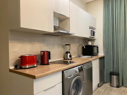 a kitchen with a counter top with a washing machine at Guest House Botanical Paradise in Mtsvane Kontskhi