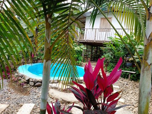 Escape Vista Rio Celeste – Photos 4