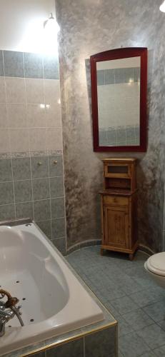 a bathroom with a tub and a sink and a mirror at Hotel U Zlateho jelena in Prague