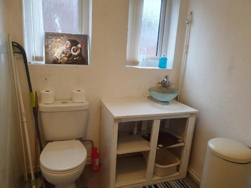 een kleine badkamer met een toilet en een wastafel bij Litherland Apartment in Litherland
