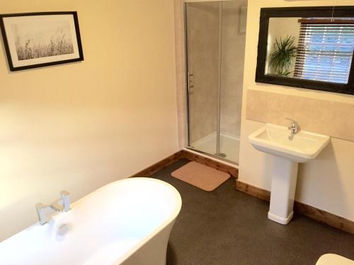a bathroom with a toilet and a sink at Bridge View Guest House in Ironbridge