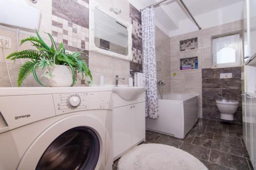 Apartment MM