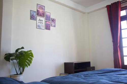 a bedroom with a bed and a plant and pictures on the wall at NHỚ House IV in Da Lat