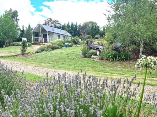 a garden with purple flowers and a house at Grace Cottages in Uralla