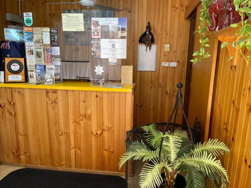 a shop with a counter with a plant in front of it at Country Roads Motor Inn in Narrandera