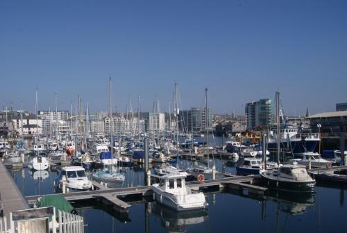 a bunch of boats docked in a harbor at Admiral MacBride in Plymouth
