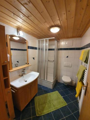 a bathroom with a sink and a shower and a toilet at Präau-Gut in Dorfgastein