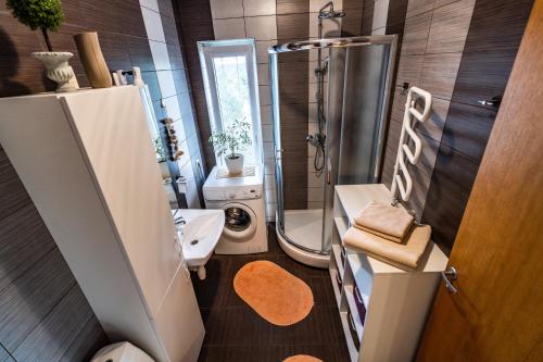 a bathroom with a shower and a toilet and a sink at Ramaus Poilsio Apartamentai in Palanga