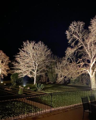 a group of trees covered in snow at night at Château de Bouesse en Berry in Bouesse