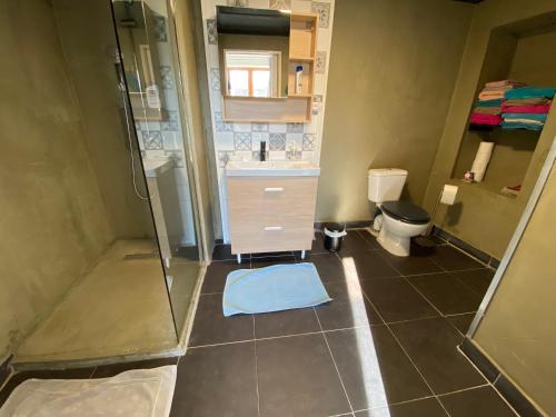 een badkamer met een douche, een wastafel en een toilet bij Maison indiv au cœur du vignoble champenois in Lignol-le-Château