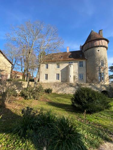 an old house with a turret on a grass field at Château de Bouesse en Berry in Bouesse