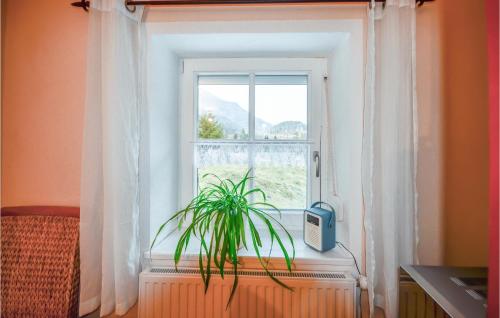a window with a plant sitting in front of it at Ferienwohnung Niederndorferb in Niederndorferberg