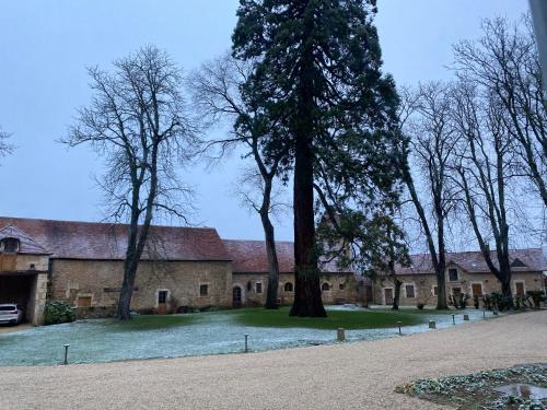 a large building with trees in front of it at Château de Bouesse en Berry in Bouesse