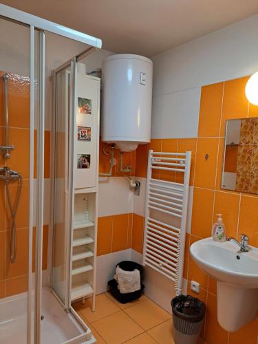 uma casa de banho com um chuveiro e um lavatório. em Apartmán Max Lipno em Lipno nad Vltavou