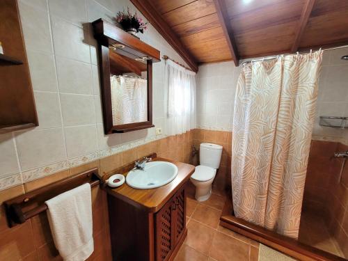 een badkamer met een wastafel en een toilet bij Finca Llano de la cebolla in Icod de los Vinos